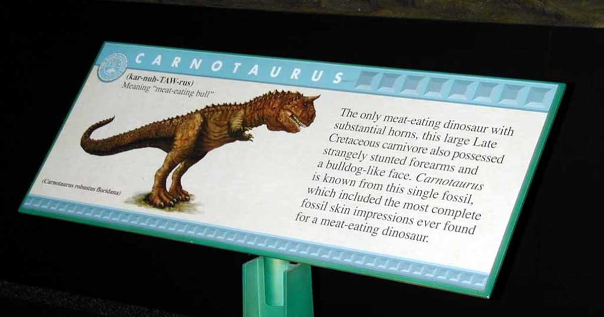 Countdown to Extinction photos Photo 10 of 26